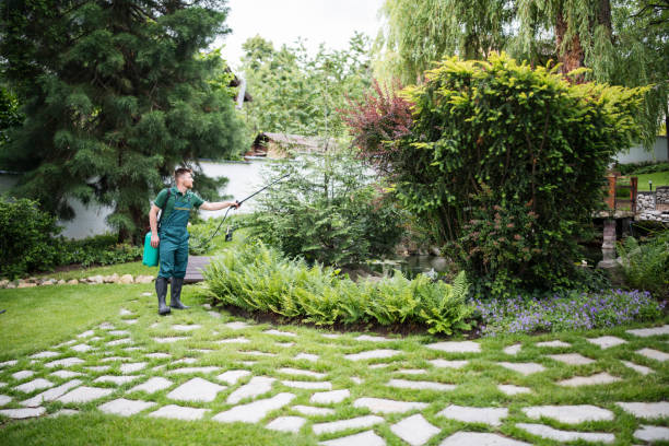 Best Pest Prevention Services  in Plainview, NE