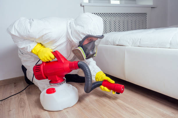 Wasp Removal Services in Plainview, NE