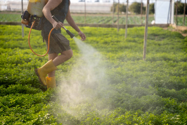 Pest Prevention Services in Plainview, NE