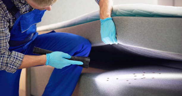Best Pest Prevention Services  in Plainview, NE