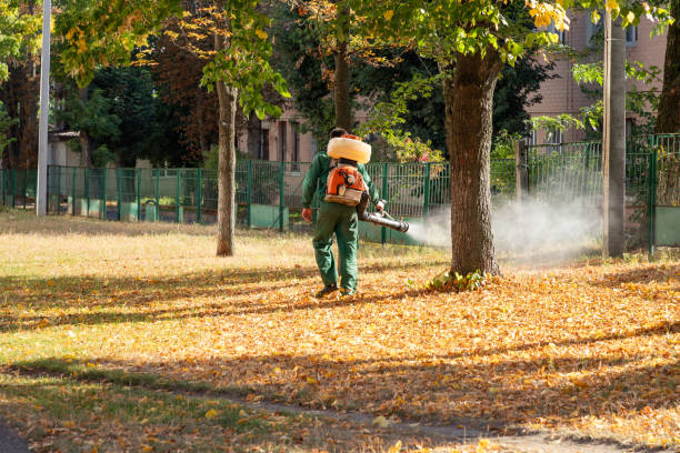 Best Best Pest Control Companies  in Plainview, NE