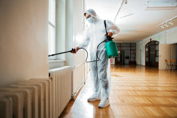 Best Best Pest Control Companies  in Plainview, NE